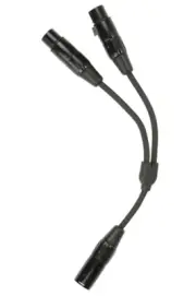 Pig Hog XLR Male to Dual XLR Female Adapter