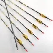 4.2mm Archery Carbon Arrows 80 Grain Points Compound Recurve Bow 12PCS