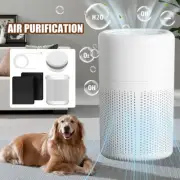 HEPA Air Purifier Smoke Odor Negative Ion Generator Efficient Purifying