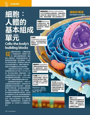 How It Works知識大圖解: 國中自然科大圖解