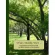 What I Really Want: 6 Questions to Ask Yourself for More Clarity on Any Subject - Trees 1 Cover