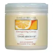 Smells Begone 15 Oz. Energizing Citrus Solid Air Freshener 50316 Smells Begone
