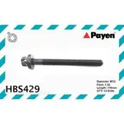 Payen Cylinder Head Bolt Set - HBS429