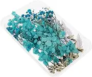 1Set Pressed Flowers Material Craft Kit for Art Long Lasting Dried Floral Accents for Candle Making Jewelry Design and Home Decor Aesthetic