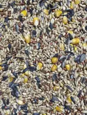 AVIGRAIN Wild Bird Mix 1KG Bird Seed Mix Food Bird Feeding Birds Avian