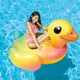【居家寶盒】INTEX 小黃鴨水上充氣坐騎 充氣浮排 水上坐騎充氣戲水玩具衝浪游泳裝備57556 (5.1折)