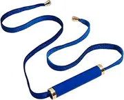 Unbound Bit – Silicone Mouth Gag – Body Safe Silicone Bondage Restraint – Open Mouth Gag - Adjustable Bondage Toy with Velvet Ribbon Ties – BDSM Gag - Great for Couples, Safe for Beginners