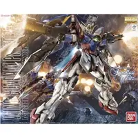 在飛比找蝦皮購物優惠-【模型屋】現貨 兩入套組 BANDAI 鋼彈W MG 1/1