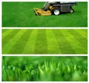 Lawn Care Zero Turn Mowing Business MARKETING PLAN MS Word / Excel NEW!