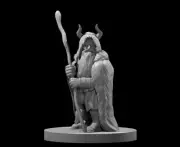 Dwarf Male Druid V4 Adventurer Fighter Cleric 28mm Scale DND D&D Tabletop Mini