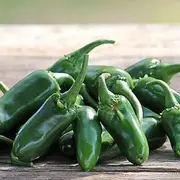 Chilli Jalapeno 25 Seeds Untreated POLLINATED Vegetable Garden Spring