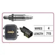 RAE Oxygen Sensor - OX344