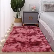 Soft Runner Rugs for Bedroom Living Room Plush Fluffy Rug Area Rug Carpet Non Shedding for Nursery Children Kids Girls Room Home Decorative40x60cm