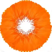 120pcs Goose Feathers 6-8 Inch 15-20cm Decorative Natural Goose Nagoire Orange