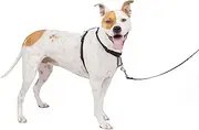 3 in 1™ Harness and Car Restraint by PetSafe (Medium)