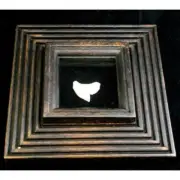 Picture Frame With Tiger Shark Tooth pf-4