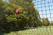 Black Cricket Net / Sports Barrier Netting 10m x 5m : Ball Stop net