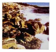 Acadia National Park Maine Ceramic Tile Trivet Travel Souvenir 4" x 4"