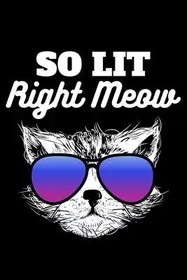 So Lit Right Meow: Hilarious Partying Cat Lined Notebook Journal Diary 6x9