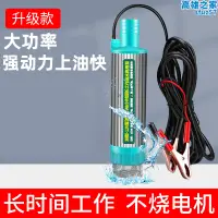 在飛比找露天拍賣優惠-德國品質電動抽油泵抽油神器12V24V柴油加油機小型抽水泵浦