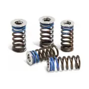 Pro Circuit Complete Valve Spring Kit VSY14250K