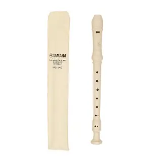 【Yamaha 山葉音樂】YRS-24B 高音直笛2支裝(直笛 高音直笛 直笛初學 樂器)