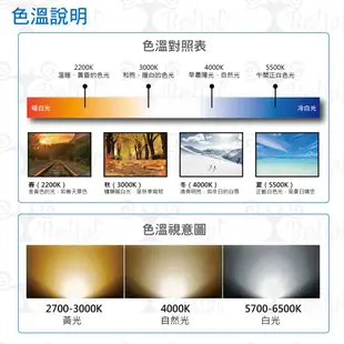 【貝利亞絕色】飛利浦 PHILIPS LED T5 串接燈 支架燈 層板燈 BN022 舊款 庫存優惠 串接線須另購