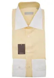 NEW STEFANO RICCI Dress Shirt 100% Cotton Size 15.5 Us 39 Eu ( C202)