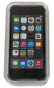 NEW Sealed Apple iPod Touch 5th Generation 16GB Gray MGG82LL/A A1421 iOS 8!