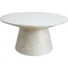 Mother Of Pearl Shell Coffee Table