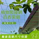 【台灣出貨】 植物爬藤網 園藝網 家庭園藝用網 園藝植物爬藤網 搭架網 百香果爬藤網 絲瓜苦瓜吊瓜葡萄瓜蔞攀爬網搭架網