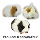Hansa Brown Guinea Pig Realistic Cute Fluffy Soft Stuffed Animal Plush Toy