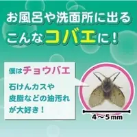 在飛比找蝦皮購物優惠-[現貨/免運/開發票] 日本 KINCHO 金鳥 排水口驅蟲