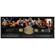 CONOR MCGREGOR HAND SIGNED FRAMED FULL SIZE UFC BELT KHABIB GSP SILVA JONES