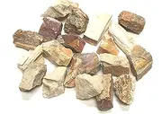 Zentron Crystal Collection: Rough Natural Petrified Wood Stones, Includes Velvet Bag - Large 1" Pieces