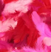 Feathers Coloured - 10 Gr.