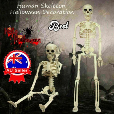 40cm Poseable Human Skeleton Prop Halloween Party Decoration New RK