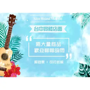 【好聲音樂器】嗩吶曲譜(全二冊) 嗩吶 嗩吶樂譜 嗩吶課本 嗩吶教材 國樂 國樂教材 國樂課本 國樂班 嗩吶 教學