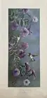 "Passion Play - Hummingbirds" Limited Edition Print by Jeff Renner