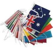 24 Countries Bunting Flags,Polyester European Pennant Bunting Flag with 24 Countries | Decorative Hangable Pennant Chain, Eurovision Decoration for Wall, Door, Tree