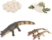Kisangel 1Set Animal Growth Cycle Simulation Model Realistic Plaything for Educational Design and Imaginative Fun for Learning and Play