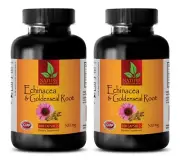 Echinacea & GoldenSeal Root 300mg 200 Caps - Help Stimulate Immune System -2 Bot