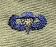 US Air Force Basic Combat Parachutist Badge BDU Sew-On USAF