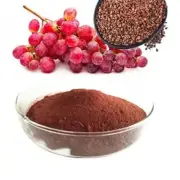 Organic Bulgarian GRAPE SEED POWDER by TheMostPrecious - antioxidant -120g/4.2oz