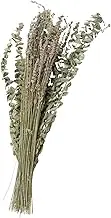 LIFKICH 1 Set Dried Lavender and Eucalyptus Flower Bundles Preserved Decor for Home Office and Weddings Rustic Style Dried Flower Arrangement