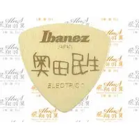 在飛比找蝦皮購物優惠-飛翔羽翼樂器行 IBANEZ# 彈片PICK-TAMIO-E