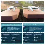 ARK ASCENDED PVE OFICIAL PAIR BABY MANAGARMS FULL ALBINO ID36 PS/PC/XBOX