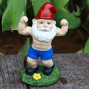 Mrsivrop Funny Workout Garden Gnomes Statues 6.2 Inches Outdoor Muscular Fitness Naughty Gnomes Decorations for Yard, Lawn, Patio, Indoor Gnome Figurine for Home Tabletop