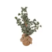 Colours Of Christmas 50cm Bonsai Xmas Tree Indoor Home/Room Holiday Decor Green