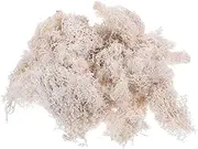 50G Preserved Moss White DIY Floral Material for Wedding Bouquets Garden Arrangements Imitation Moss for Home Office Decoration Less Dusty